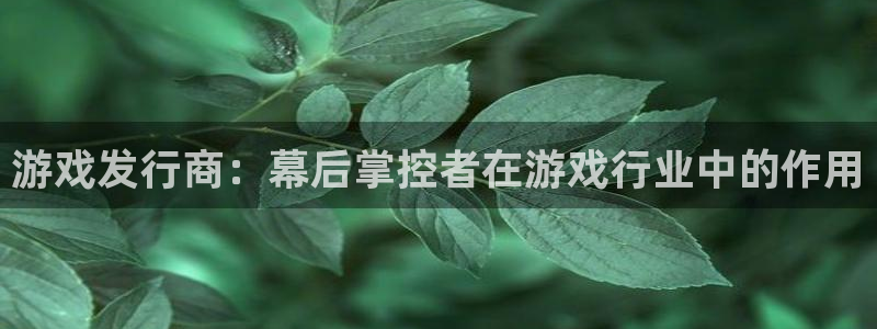 新宝GG平台开户：游戏发行商：幕后掌控者在游戏行业中的作用