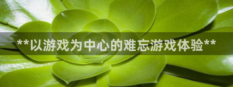新宝gg测速：**以游戏为中心的难忘游戏体验**