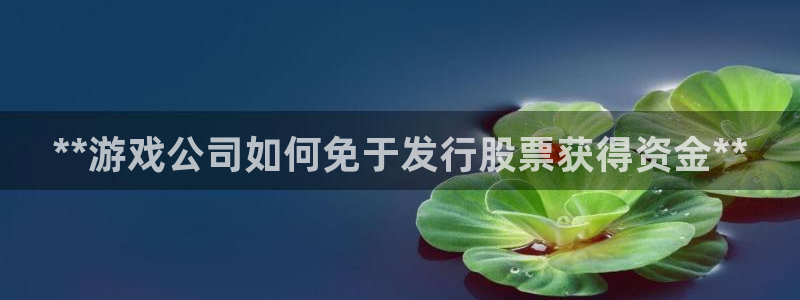 新宝gg5账号登录：**游戏公司如何免于发行股票获得资金**