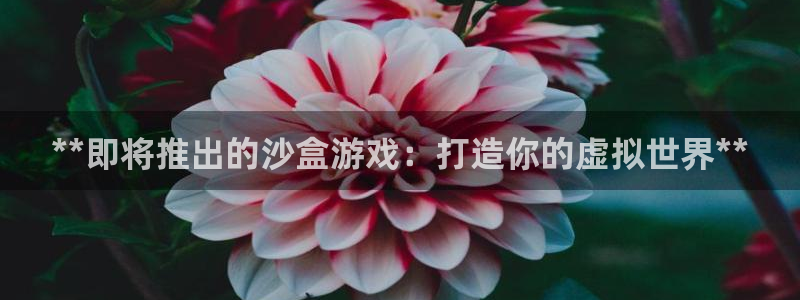 新宝gg平台注册地址：**即将推出的沙盒游戏：打造你的虚拟世界**