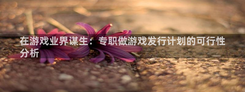新宝gg创造奇迹登录：在游戏业界谋生：专职做游戏发行计划的可行性
分析