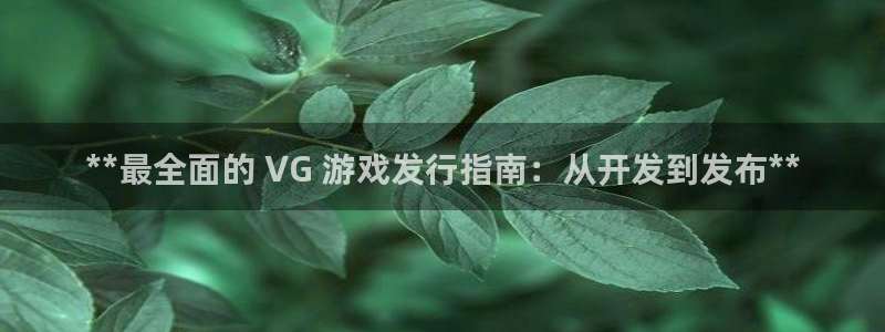 新宝gg开奖假不假：**最全面的 VG 游戏发行指南：从开发到发布**