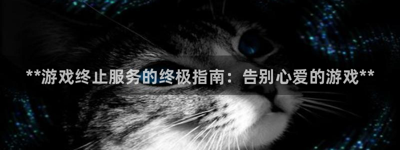 新宝gg5账号登录：**游戏终止服务的终极指南：告别心爱的游戏**