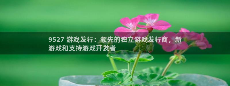 新宝gg手机版登录官网：9527 游戏发行：领先的独立游戏发行商，新
游戏和支持游戏开发者