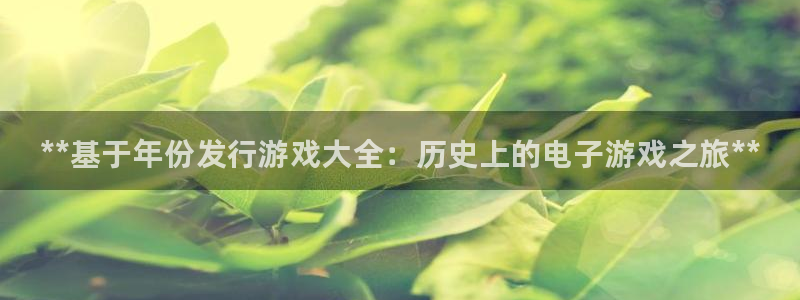 新宝gg怎么登录不上去了了：**基于年份发行游戏大全：历史上的电子游戏之旅**