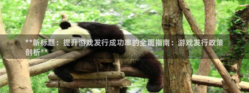 新宝gg平台注册网址：**新标题：提升游戏发行成功率的全面指南：游戏发行政策
剖析**