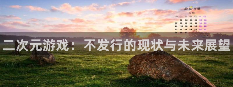 新宝gg登录不上去了：二次元游戏：不发行的现状与未来展望