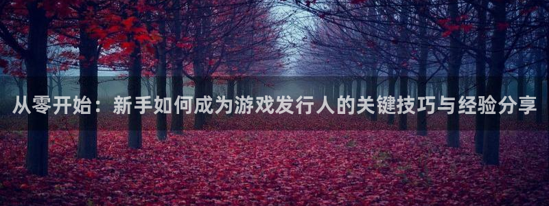 新宝gg创造奇迹客服：从零开始：新手如何成为游戏发行人的关键技巧与经验分享