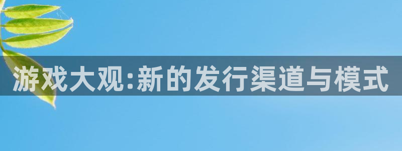 新宝GG平台负责人：游戏大观:新的发行渠道与模式