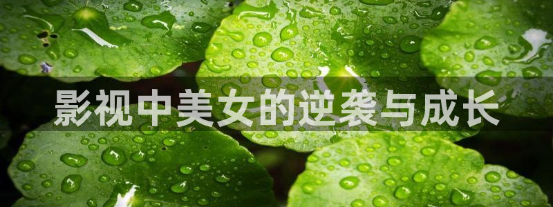 在线看宅男视频