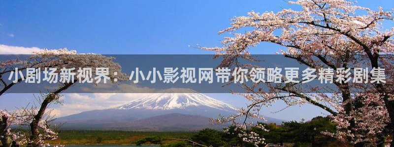 宅男视频网站