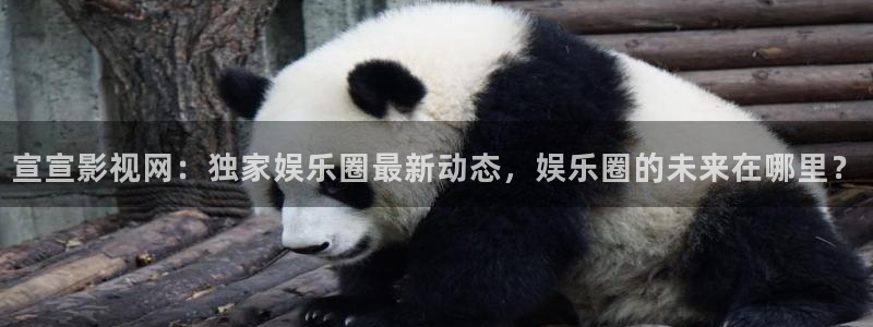 宅男视频免费观看