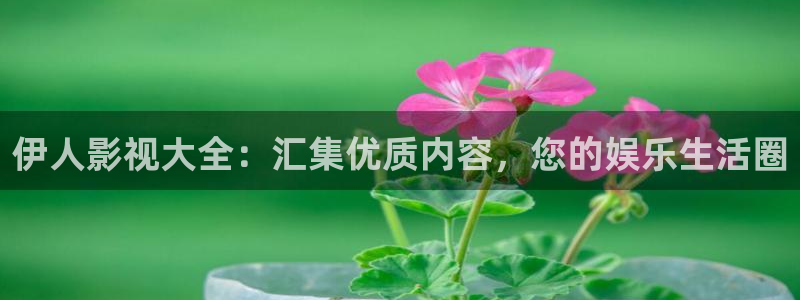 www.宅男视频在线观看